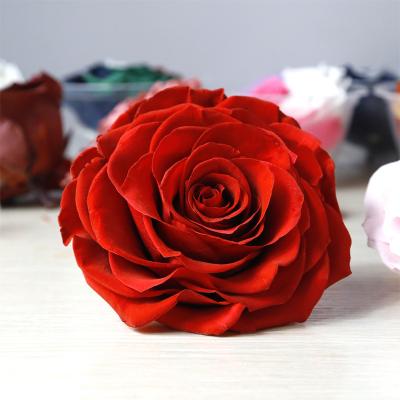 9-10cm Preserved Rose Head 