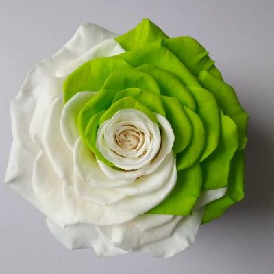 Colorful 9-10cm Preserved Rose Head 