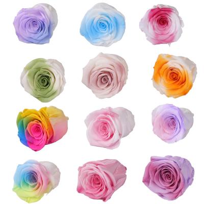 4-5cm A grade colorful preserved rose head 