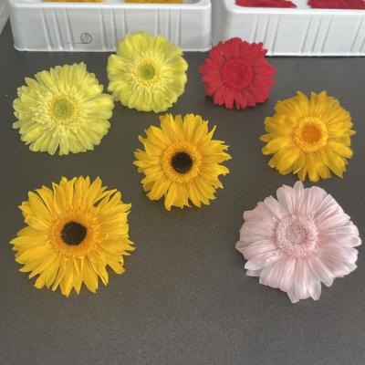 Preserved Daisy Chrysanthemum Flower Heads A grade 