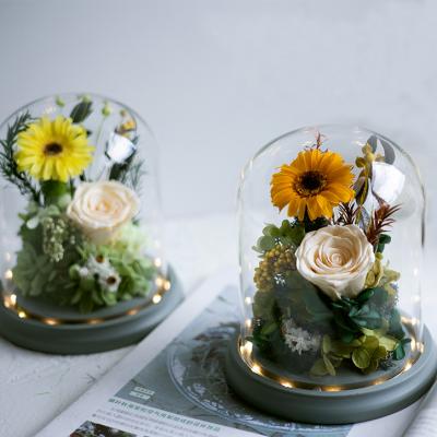 Everlasting roses daisy in glass dome