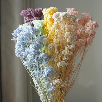 Bleaching Preserved Rice Flower 80g/bunch