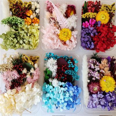 Mixed Dried Flower DIY Material 