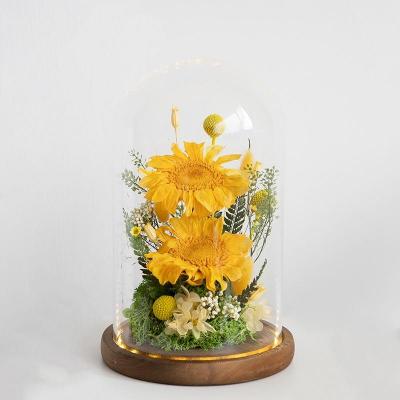 Everlasting Sunflowers With Glass Cover With Light