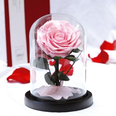 12*17cm Preserved Rose Everlasting Rose In Glass Dome