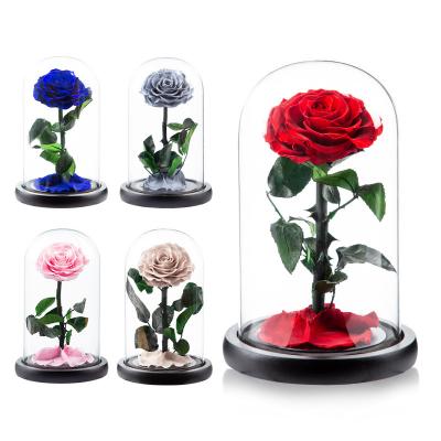 14*22cm Everlasting Rose In Glass Dome