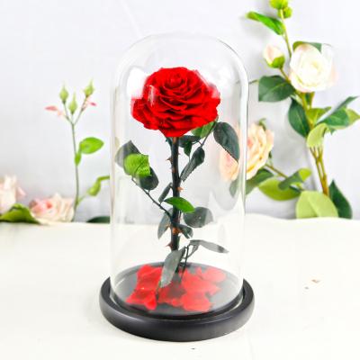 17*32cm Large Everlasting Rose In Glass Dome