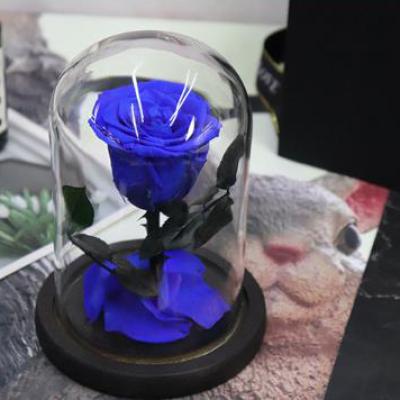 Mini Glass Dome Forever Rose 5-6cm