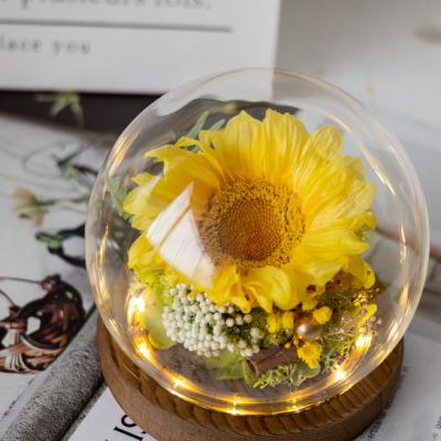 Everlasting Sunflowers With Glass Cover With Light Christmas Gifts