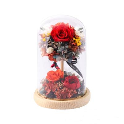 Preserved Rose Hydrangea Glass Cover Wishing Tree