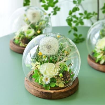 Eternal Flower Dandelion Glass Cover