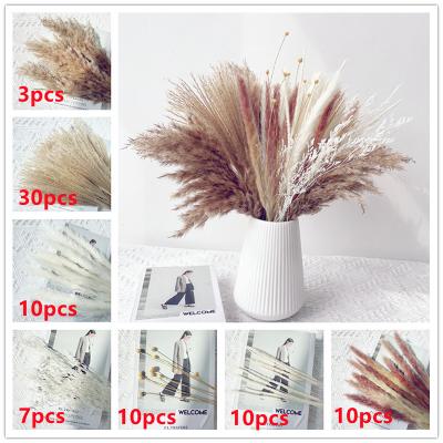 Style 1-80stems/Bunch Natural Real Dried Flowers Bouquets