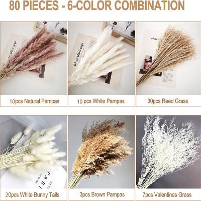 Style 3-80stems/Bunch Natural Real Dried Flowers Bouquets