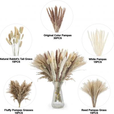 Style 7-85stems/Bunch Natural Real Dried Flowers Bouquets