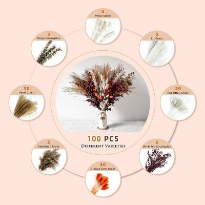 Style 17-100stems/Bunch Natural Real Dried Flowers Bouquets