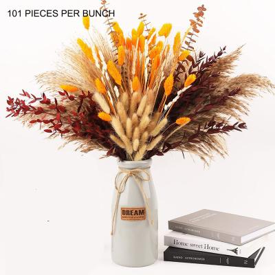 Style 19-101stems/Bunch Natural Real Dried Flowers Bouquets