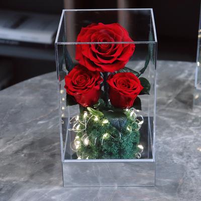 Acrylic Cover Gift Three Roses Everlasting Rose Flowers Decoration Mirror Base LED lights Birthday 