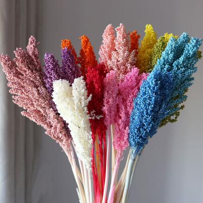 Dried sorghum home decoration