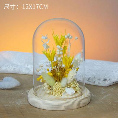 001 Dried Flower Glass Cover Micro Landscape