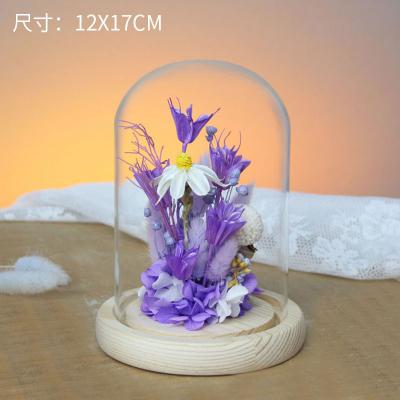 003 Dried Flower Glass Cover Micro Landscape