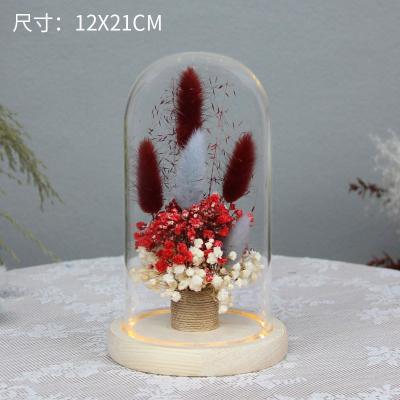 025 Dried Flower Glass Cover Micro Landscape