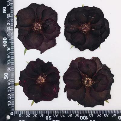 K11 black rose 