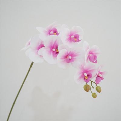 Simulated 9 heads phalaenopsis orchids