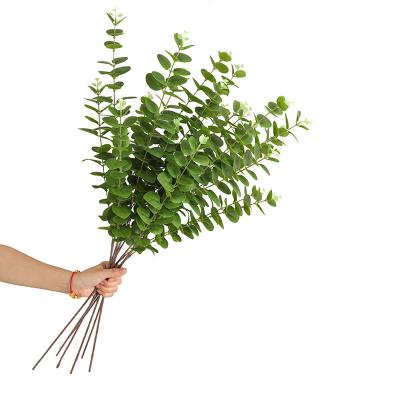 Simulated 3 forked of eucalyptus leaves